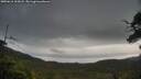 ./images/calvert/fitz-hugh-hecate/20250616/fitz-hugh-hecate20250616_102007M.jpg