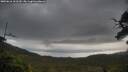./images/calvert/fitz-hugh-hecate/20250616/fitz-hugh-hecate20250616_102510M.jpg