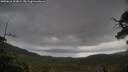 ./images/calvert/fitz-hugh-hecate/20250616/fitz-hugh-hecate20250616_103009M.jpg