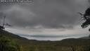 ./images/calvert/fitz-hugh-hecate/20250616/fitz-hugh-hecate20250616_104509M.jpg