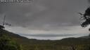 ./images/calvert/fitz-hugh-hecate/20250616/fitz-hugh-hecate20250616_105009M.jpg