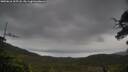 ./images/calvert/fitz-hugh-hecate/20250616/fitz-hugh-hecate20250616_105507M.jpg
