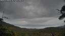./images/calvert/fitz-hugh-hecate/20250616/fitz-hugh-hecate20250616_110510M.jpg