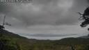./images/calvert/fitz-hugh-hecate/20250616/fitz-hugh-hecate20250616_111010M.jpg