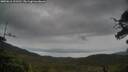 ./images/calvert/fitz-hugh-hecate/20250616/fitz-hugh-hecate20250616_111511M.jpg