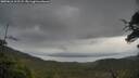 ./images/calvert/fitz-hugh-hecate/20250616/fitz-hugh-hecate20250616_112508M.jpg