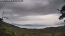 ./images/calvert/fitz-hugh-hecate/20250616/fitz-hugh-hecate20250616_113509M.jpg