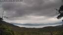 ./images/calvert/fitz-hugh-hecate/20250616/fitz-hugh-hecate20250616_115509M.jpg