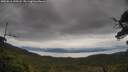 ./images/calvert/fitz-hugh-hecate/20250616/fitz-hugh-hecate20250616_120508M.jpg
