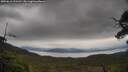 ./images/calvert/fitz-hugh-hecate/20250616/fitz-hugh-hecate20250616_121511M.jpg
