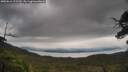 ./images/calvert/fitz-hugh-hecate/20250616/fitz-hugh-hecate20250616_122510M.jpg