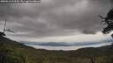 ./images/calvert/fitz-hugh-hecate/20250616/fitz-hugh-hecate20250616_123509M.jpg