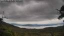 ./images/calvert/fitz-hugh-hecate/20250616/fitz-hugh-hecate20250616_124510M.jpg