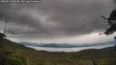 ./images/calvert/fitz-hugh-hecate/20250616/fitz-hugh-hecate20250616_125510M.jpg