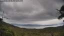 ./images/calvert/fitz-hugh-hecate/20250616/fitz-hugh-hecate20250616_131508M.jpg