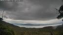 ./images/calvert/fitz-hugh-hecate/20250616/fitz-hugh-hecate20250616_133012M.jpg