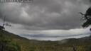 ./images/calvert/fitz-hugh-hecate/20250616/fitz-hugh-hecate20250616_134508M.jpg