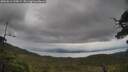 ./images/calvert/fitz-hugh-hecate/20250616/fitz-hugh-hecate20250616_135009M.jpg
