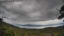 ./images/calvert/fitz-hugh-hecate/20250616/fitz-hugh-hecate20250616_135510M.jpg