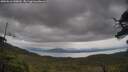 ./images/calvert/fitz-hugh-hecate/20250616/fitz-hugh-hecate20250616_140010M.jpg