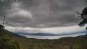 ./images/calvert/fitz-hugh-hecate/20250616/fitz-hugh-hecate20250616_141010M.jpg