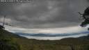 ./images/calvert/fitz-hugh-hecate/20250616/fitz-hugh-hecate20250616_142009M.jpg
