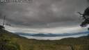./images/calvert/fitz-hugh-hecate/20250616/fitz-hugh-hecate20250616_142509M.jpg