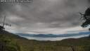 ./images/calvert/fitz-hugh-hecate/20250616/fitz-hugh-hecate20250616_143510M.jpg