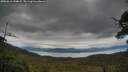 ./images/calvert/fitz-hugh-hecate/20250616/fitz-hugh-hecate20250616_144009M.jpg