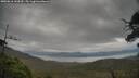 ./images/calvert/fitz-hugh-hecate/20250616/fitz-hugh-hecate20250616_144509M.jpg