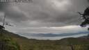 ./images/calvert/fitz-hugh-hecate/20250616/fitz-hugh-hecate20250616_145010M.jpg