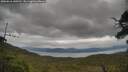 ./images/calvert/fitz-hugh-hecate/20250616/fitz-hugh-hecate20250616_145510M.jpg