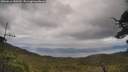 ./images/calvert/fitz-hugh-hecate/20250616/fitz-hugh-hecate20250616_150510M.jpg