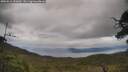 ./images/calvert/fitz-hugh-hecate/20250616/fitz-hugh-hecate20250616_151009M.jpg