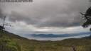 ./images/calvert/fitz-hugh-hecate/20250616/fitz-hugh-hecate20250616_151510M.jpg