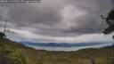 ./images/calvert/fitz-hugh-hecate/20250616/fitz-hugh-hecate20250616_152510M.jpg