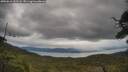 ./images/calvert/fitz-hugh-hecate/20250616/fitz-hugh-hecate20250616_153508M.jpg