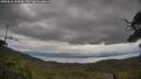 ./images/calvert/fitz-hugh-hecate/20250616/fitz-hugh-hecate20250616_154009M.jpg