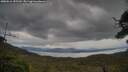 ./images/calvert/fitz-hugh-hecate/20250616/fitz-hugh-hecate20250616_155510M.jpg