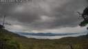 ./images/calvert/fitz-hugh-hecate/20250616/fitz-hugh-hecate20250616_160012M.jpg
