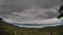 ./images/calvert/fitz-hugh-hecate/20250616/fitz-hugh-hecate20250616_161009M.jpg