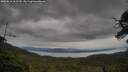 ./images/calvert/fitz-hugh-hecate/20250616/fitz-hugh-hecate20250616_161509M.jpg