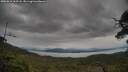 ./images/calvert/fitz-hugh-hecate/20250616/fitz-hugh-hecate20250616_162508M.jpg