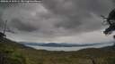 ./images/calvert/fitz-hugh-hecate/20250616/fitz-hugh-hecate20250616_163506M.jpg
