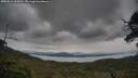 ./images/calvert/fitz-hugh-hecate/20250616/fitz-hugh-hecate20250616_164510M.jpg