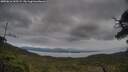 ./images/calvert/fitz-hugh-hecate/20250616/fitz-hugh-hecate20250616_165509M.jpg