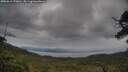 ./images/calvert/fitz-hugh-hecate/20250616/fitz-hugh-hecate20250616_170010M.jpg