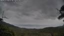 ./images/calvert/fitz-hugh-hecate/20250616/fitz-hugh-hecate20250616_171009M.jpg