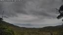 ./images/calvert/fitz-hugh-hecate/20250616/fitz-hugh-hecate20250616_171510M.jpg
