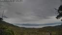 ./images/calvert/fitz-hugh-hecate/20250616/fitz-hugh-hecate20250616_172510M.jpg